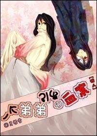 (猎人同人)一个弟弟引发的血案