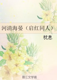 《(老九門同人)河清海晏(啟紅同人)》