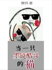 当一只墨镜酷割的猫