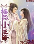 《極品小王爺》