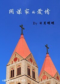 陰謀家的愛情