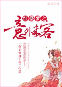 (红楼梦同人)红楼梦之意外来客