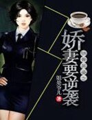 《鐵骨英姿之嬌妻要逆襲》