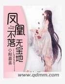 《凤凰不落无宝地》