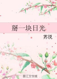 《掰一塊日光》