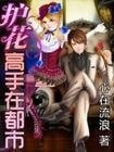 《護花高手在都市》
