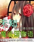 《未知魔法国物语》