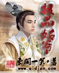 《極品姑爺》