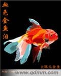 血色金鱼泪
