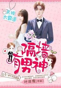 《隔墙有男神:强行相爱100天》