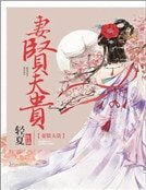 《妻閒夫貴》