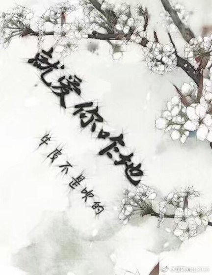 《就爱你咋地》