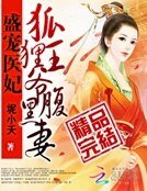 《盛宠医妃:狐狸王爷腹黑妻》