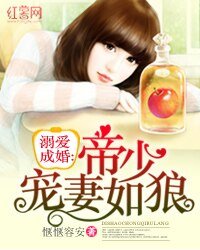 《溺爱成婚:帝少宠妻如狼》