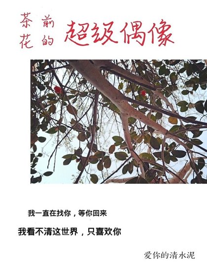 《茶花前的超级偶像》