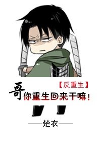 《(反重生)哥你重生回来干嘛!》