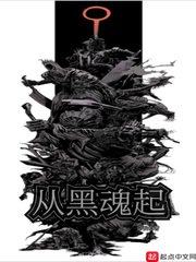 《从黑魂起》