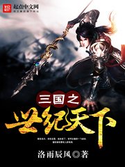 《三國之世紀天下》