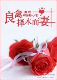 《良禽擇木而妻(師生)》
