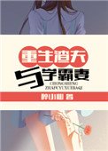 《重生渣夫与学霸妻》