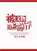 被文物追殺的日子