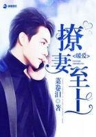 《暖愛之撩妻至上》