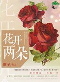 《花開兩朵》