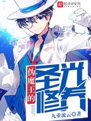 《伪魔王的圣光修养》