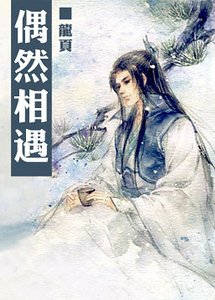 《偶然相遇》