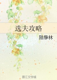 《選夫攻略》