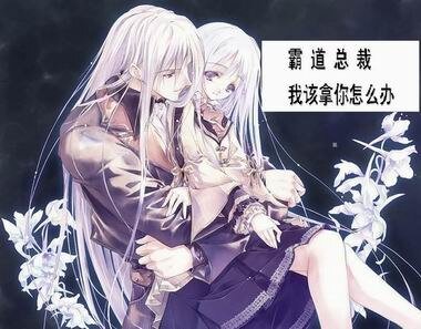 《霸道總裁:我該拿你怎麼辦》