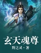 《玄天魂尊》