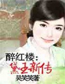 醉红楼：黛玉新传