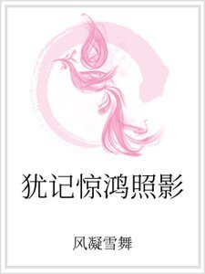 《犹记惊鸿照影》