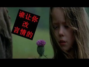 《谁让你改言情的》