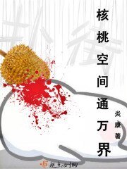 《核桃空間通萬界》