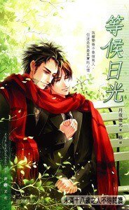 《等候日光(原名:禁區裡的悸動/三鉉琴/出書版)》