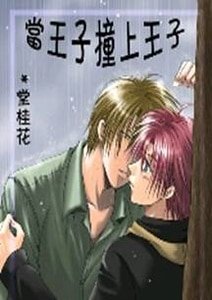 《当王子撞上王子》