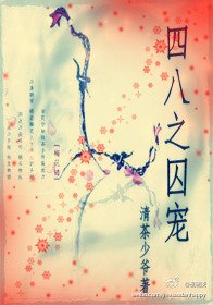 (数字同人)四八之囚宠
