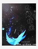 《天路殊途》