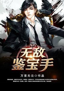 《无敌鉴宝手》