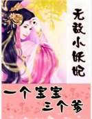 《無敵小妖妃:一個寶寶三個爹》