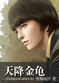 《天降金龟(大清集团系列)》