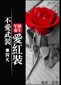 《不愛武裝愛紅裝(軍旅重生)》