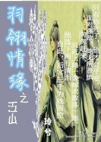 羽翎傳奇之江山/羽翎情緣之江山