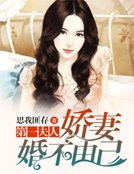 《第一夫人:嬌妻婚不由己》