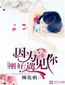 因为刚好遇见你