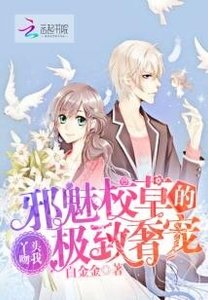 《邪魅校草的极致奢宠:丫头吻我!》