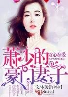 《攻心掠愛,蕭少的豪門妻子》