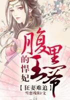 《狂妻难追,腹黑王爷的悍妃》
